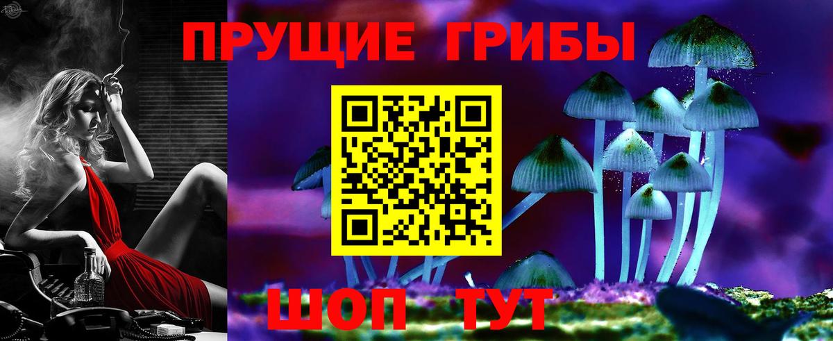 Арзамас  Галлюциногенные грибы прущие грибы  Галлюциногенные грибы GOLDEN TEACHER  Вход с VPN 
